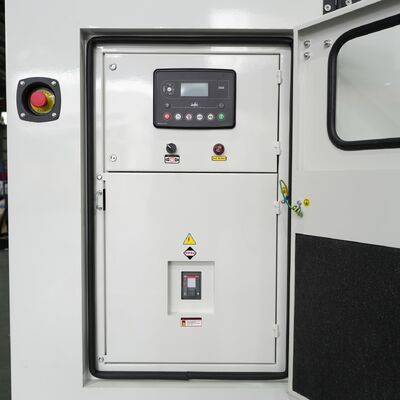 पोर्टेबल, घरेलू, थोक, अनुकूलन योग्य 250kW 313KVA वाटर-कूल्ड प्रकार Doosan सुपर साइलेंट डीजल जनरेटर सेट